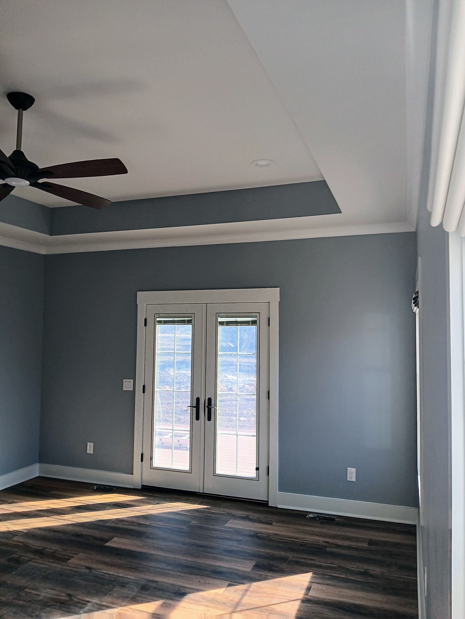 Whole-home interior repaint — tray ceilings, french doors, and warm gray walls